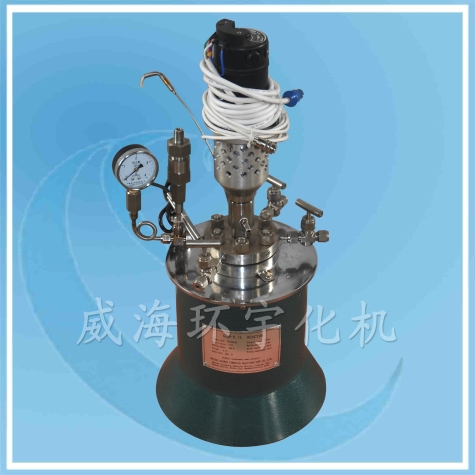 3L Laboratory Reactor with PTFE