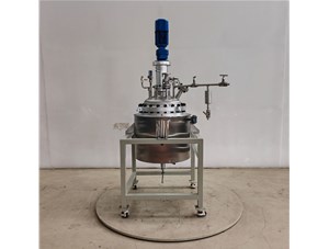 100L不锈钢电动吊杆升降反应釜已完工发往江宁