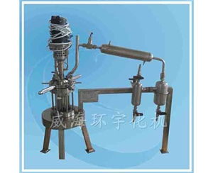 上海高压可视玻璃釜