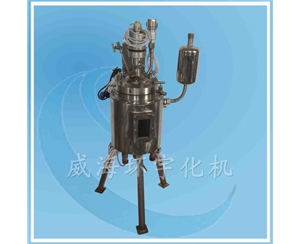 上海玻璃视窗反应釜