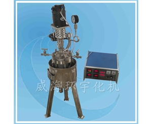 上海304+玻璃反应釜