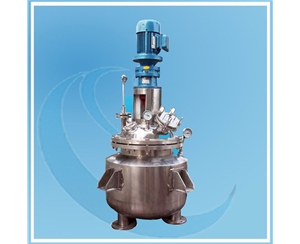 上海中试电加热反应釜