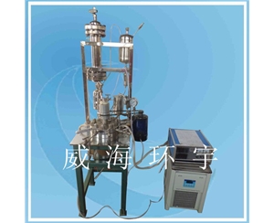 上海反应釜带高低温循环装置
