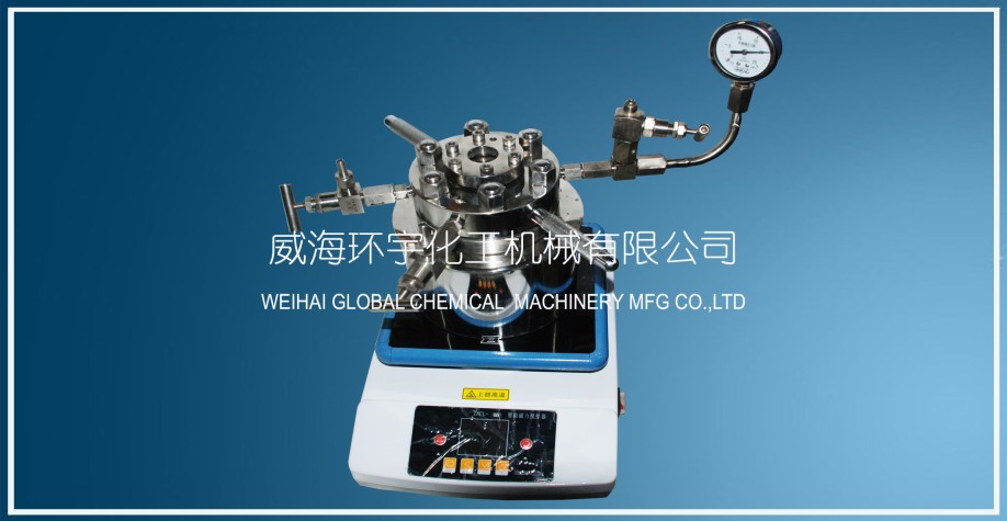 上海0.2L高压实验釜配磁子搅拌器