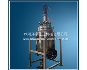 上海500L磁力密封华体会体育手机版