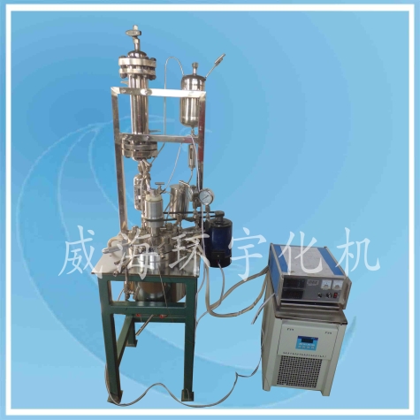 2L Laboratory Reactor