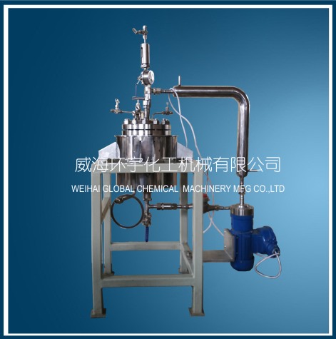 2L Lab Reactor with Recycle Pump
