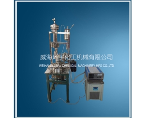 2L Lab Reactor with Vertical Condenser