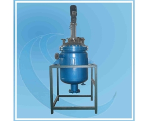 300L Reactor with PTFE