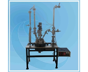 Laboratory Reactor with PTFE