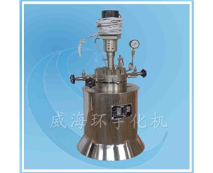 High-pressure Reactor