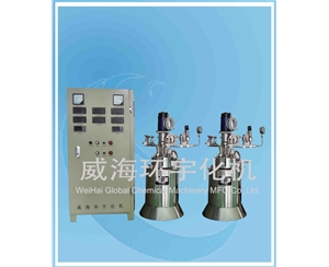 1L Stainless Steel High Pressure Reactor