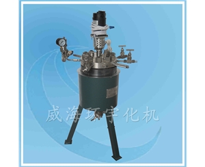 1L Laboratory Reactor