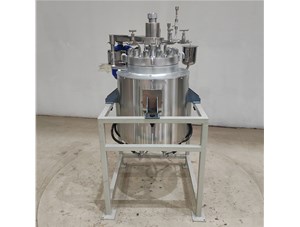 29L高温高压不锈钢油浴电加热电动升降反应釜已完工发往安庆