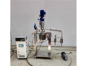 1L不锈钢手动升降实验釜已完工发往孟加拉