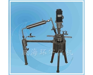 浙江可视玻璃反应釜