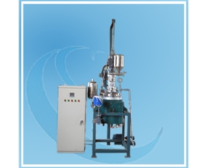 浙江反应釜带PID控制