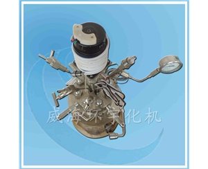 浙江台式实验釜