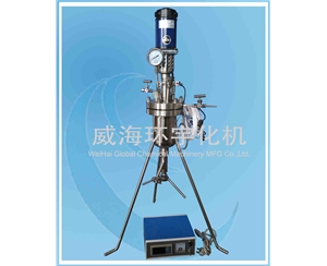 浙江1L小型反应釜配快开阀门