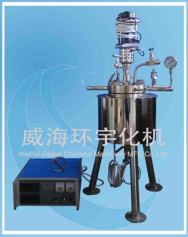 浙江1L 小型实验釜