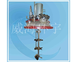 浙江0.5L Four-broad-blade paddle+disk turbine mixer
