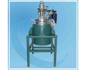 浙江5L反应釜304衬C-276