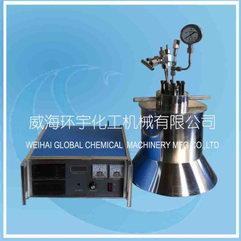 浙江High Pressure Lab Reactor with PID