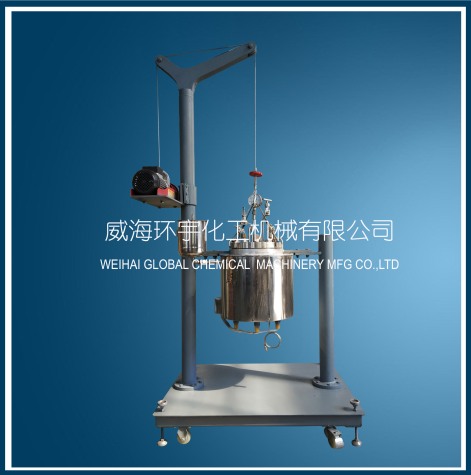 浙江10L Lifting Reactor without Mixer