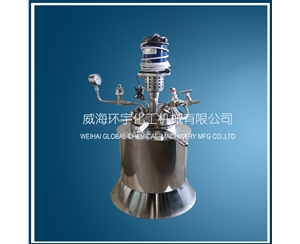 浙江1L磁力搅拌高压釜