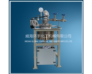 浙江2L实验室高压釜