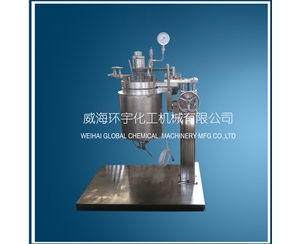 浙江50L High Pressure Lifting Reactor