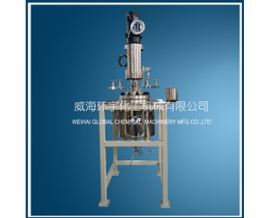 浙江5L机械密封反应釜