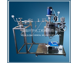 浙江1L反应系统