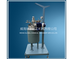 浙江20L反应釜