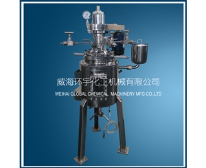 浙江2L 304+玻璃反应釜