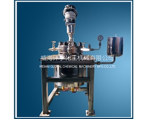 浙江0.6L高压不锈钢电加热反应釜