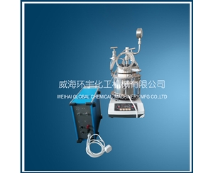 浙江0.3L磁子反应釜