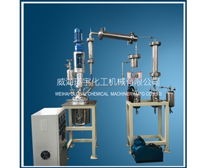 浙江10L定制反应釜