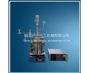 浙江1L磁子反应器